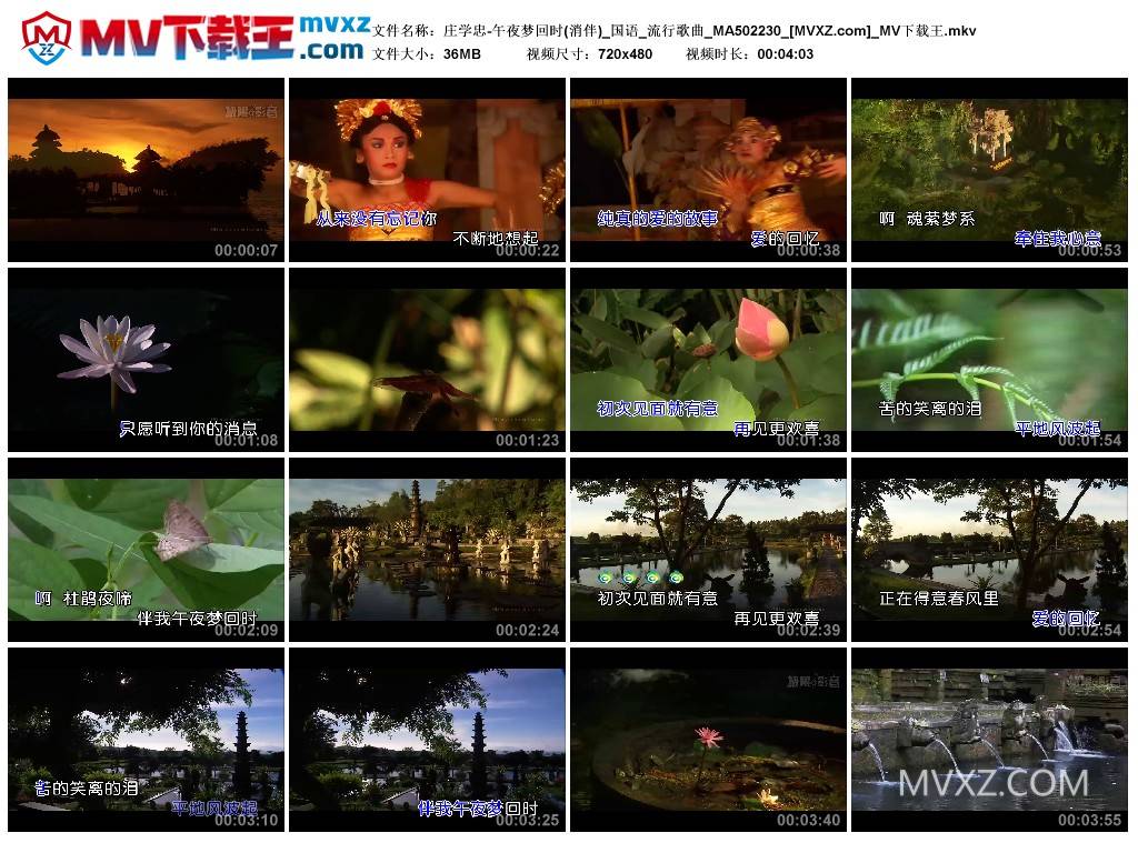 庄学忠-午夜梦回时(消伴)_国语_流行歌曲_MA502230